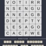 Mind The Word Level 14 Puzzle 11