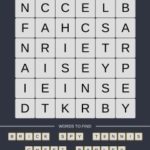 Mind The Word Level 14 Puzzle 21