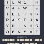 Mind The Word Level 14 Puzzle 3