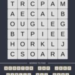 Mind The Word Level 14 Puzzle 9