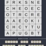 Mind The Word Level 15 Puzzle 10