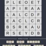 Mind The Word Level 16 Puzzle 10