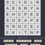 Mind The Word Level 16 Puzzle 7