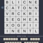 Mind The Word Level 18 Puzzle 9