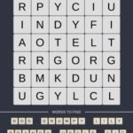 Mind The Word Level 19 Puzzle 16
