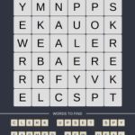 Mind The Word Level 19 Puzzle 17