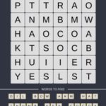 Mind The Word Level 19 Puzzle 5