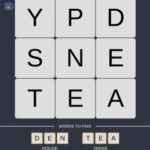 Mind The Word Level 3 Puzzle 13