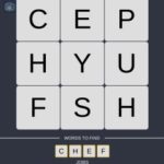 Mind The Word Level 3 Puzzle 24