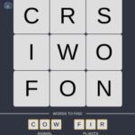 Mind The Word Level 3 Puzzle 29