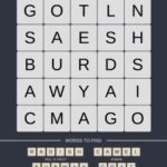 Mind The Word Level 9 Puzzle 11