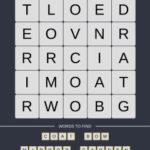 Mind The Word Level 9 Puzzle 23