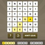 Word Mania Taupe Level 24-453