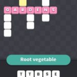 Root vegetable