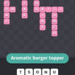 Aromatic burger topper