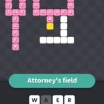 Attorney's field