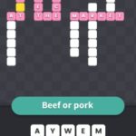 Beef or pork