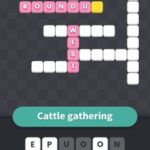 Cattle gathering