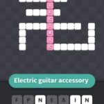 Electric guitar accessory
