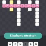 Elephant ancestor