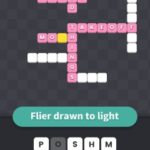 Filer drawn to light