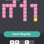 Hunt illegally