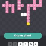Ocean plant