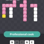 Professional cook