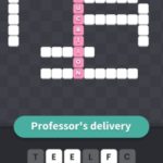 Professor's delivery