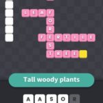 Tall woody plants