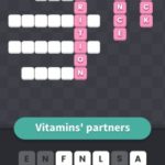 Vitamins partners