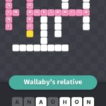 Wallabys relative