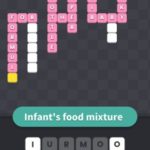 Infant's food mixture